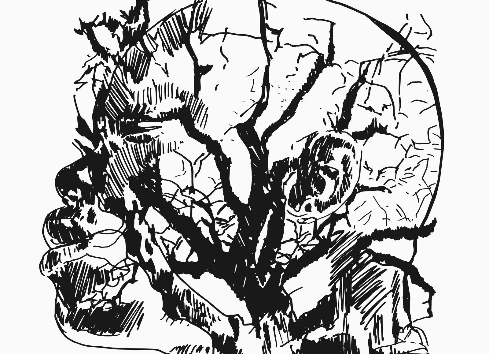 Textured bark — detail from the book's ink illustrations